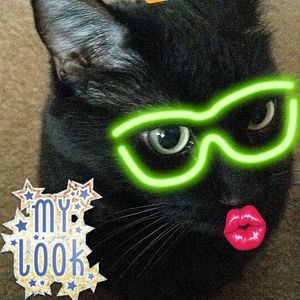 Meet your Posher, Elena